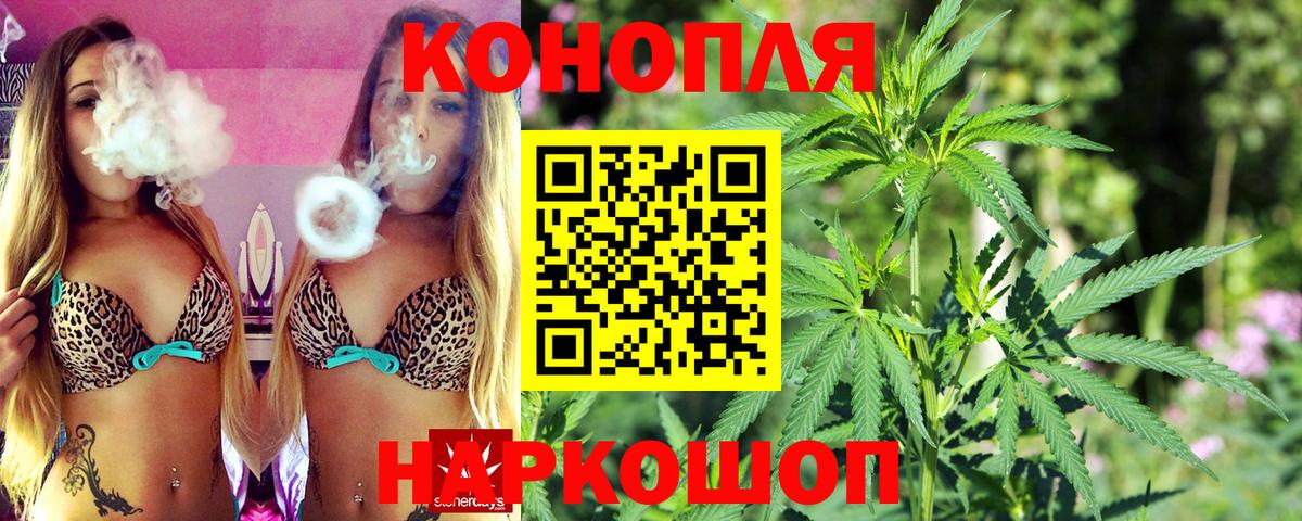 Шишки марихуана сатива  Каннабис план  Сосновый Бор  Бошки марихуана Ganja  Вход с VPN 